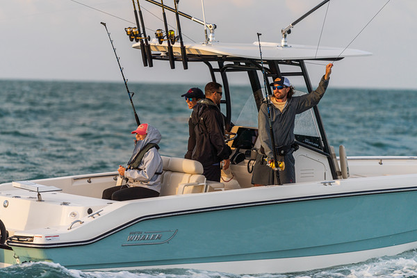 Boston Whaler 280 Dauntless фото 1.10
