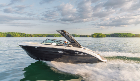 Sea Ray  SDX 250