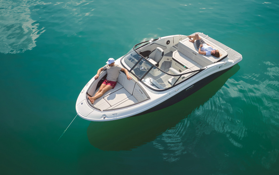 Sea Ray  190 SPX/737 фото 1.8