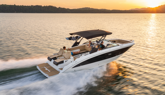 Sea Ray  SDX 290/5269