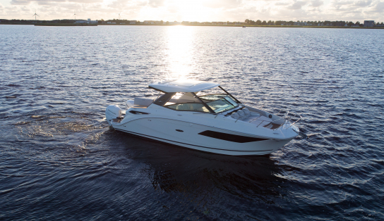 Sea Ray  Sundancer 320 Outboard